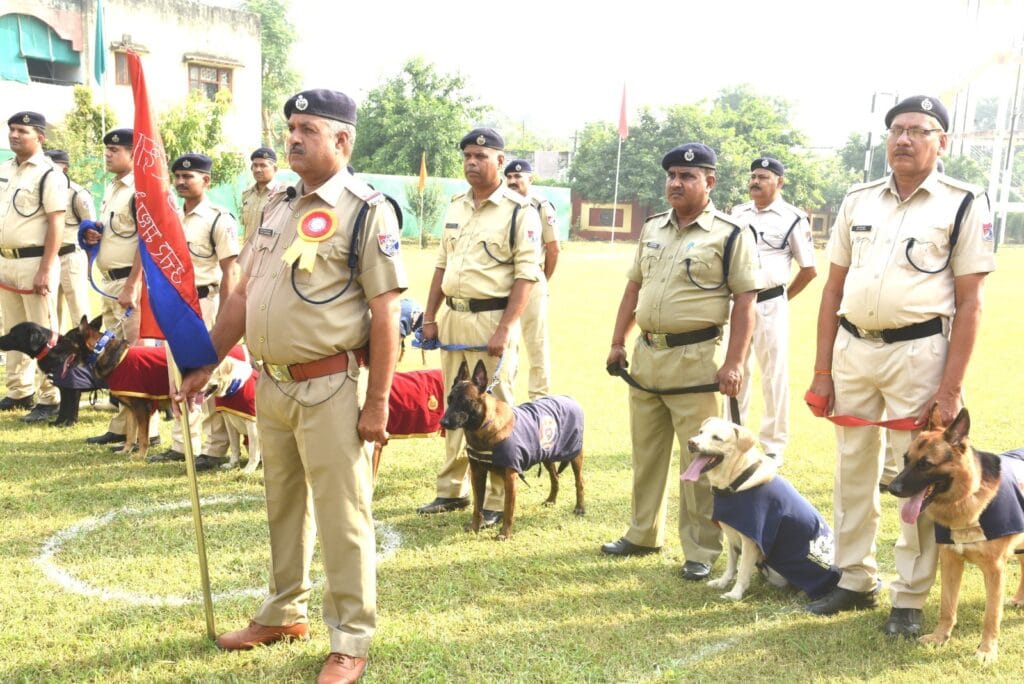 श्वान टीमें उन कौशलों का प्रदर्शन 
